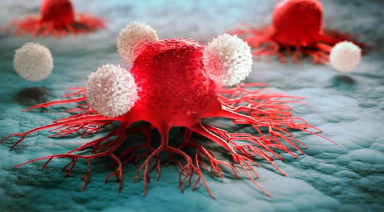 What you should know about blood cell disorders?