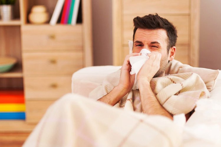 Important things to know about Allergies