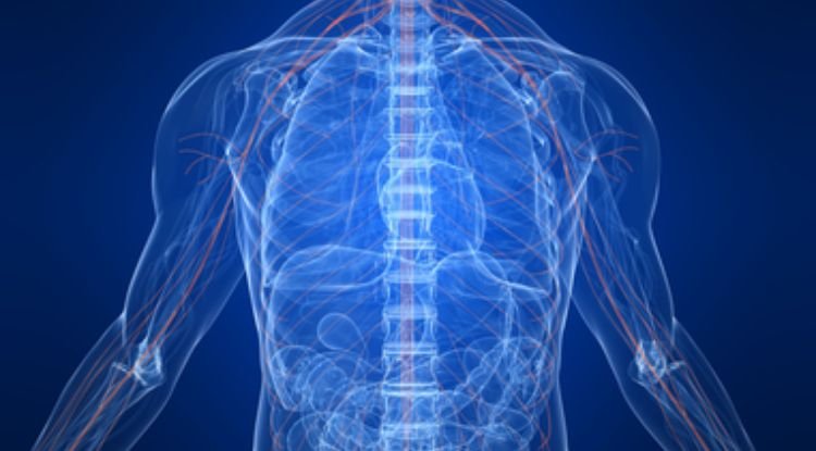 Autonomic Nervous System Disorder Symptoms