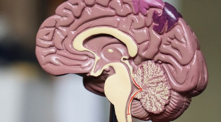 Creutzfeldt Jacob Disease Symptoms