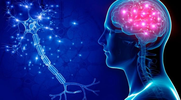 Huntington Symptoms