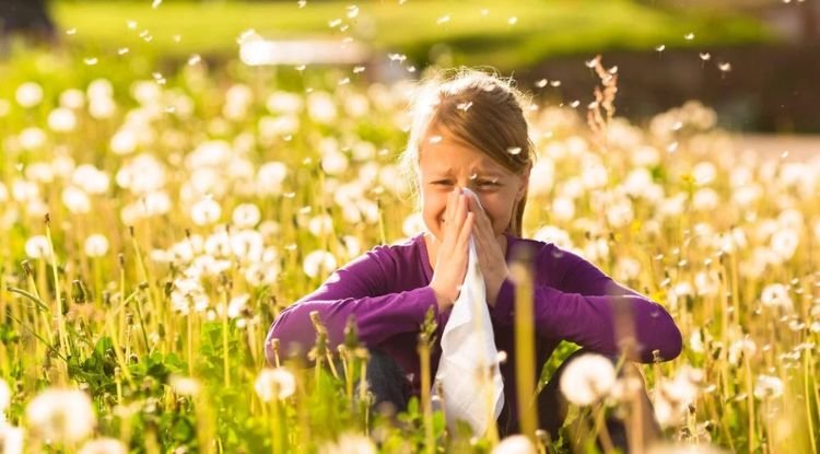 Hay Fever Symptoms