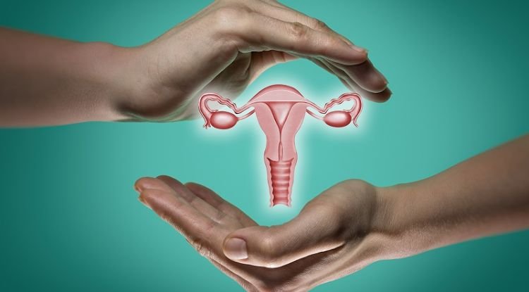 Primary Ovarian Insuffciency Symptoms