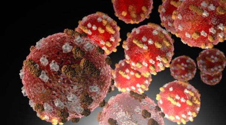 Rubella Virus Rna Detection Symptoms